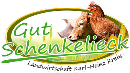 Logo Gut Schenlieck